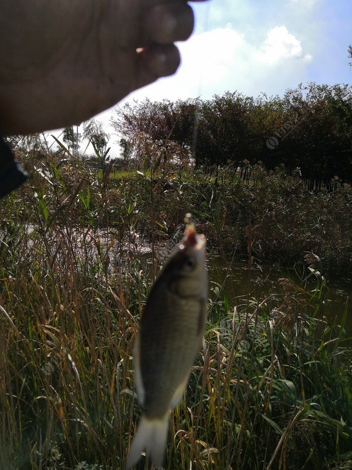 南京大学联手民企“砂里淘金”